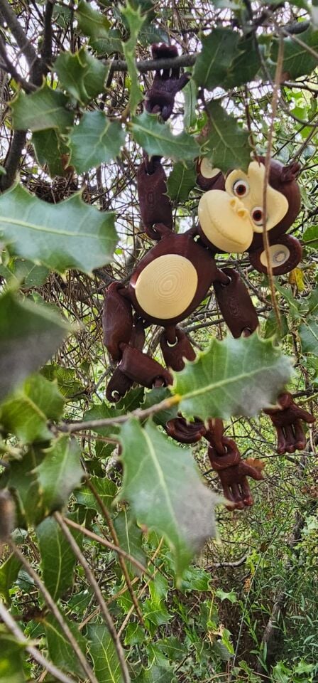 monkey in the tree