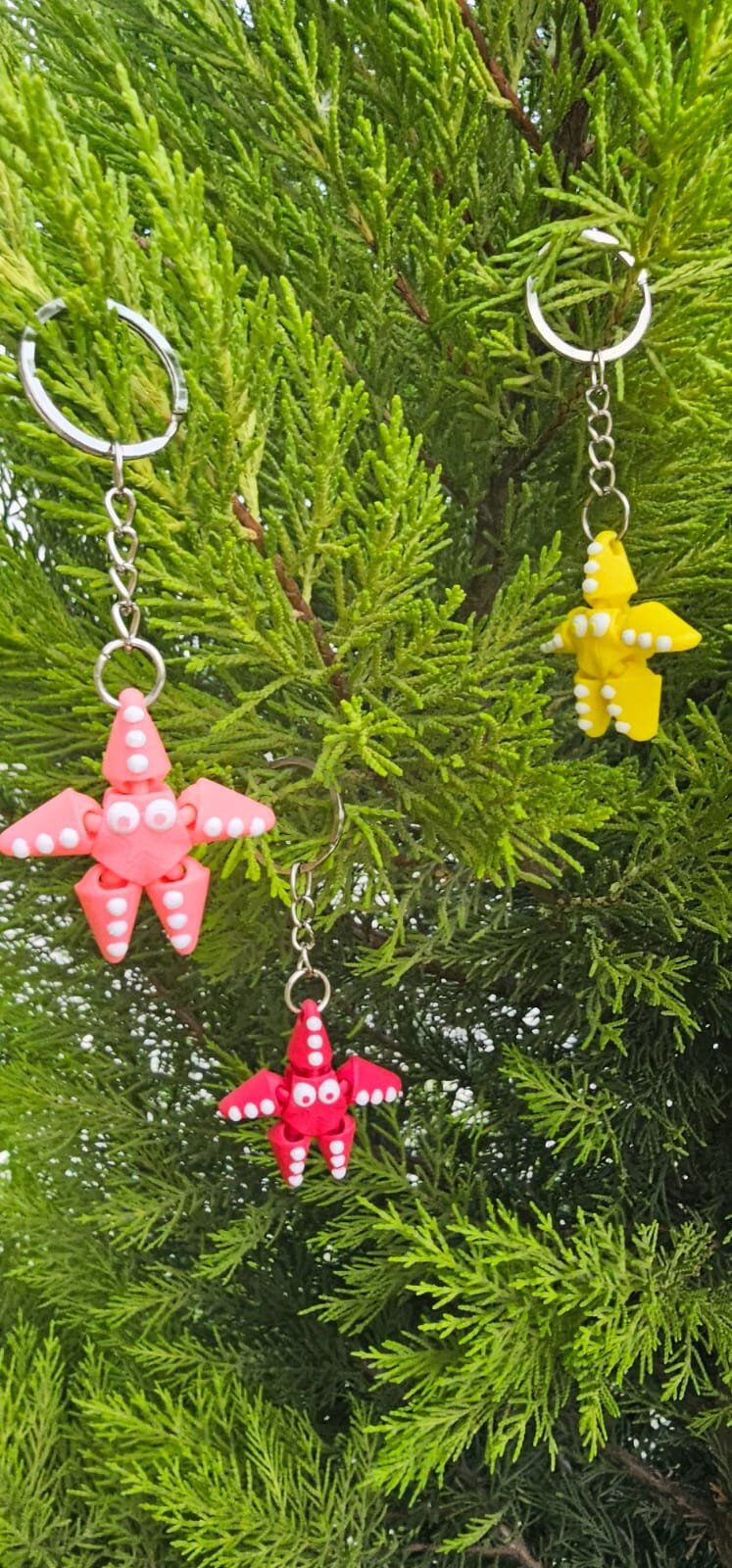 SIHIRBOX 3D ANAHTARLIK 40 LI STAND