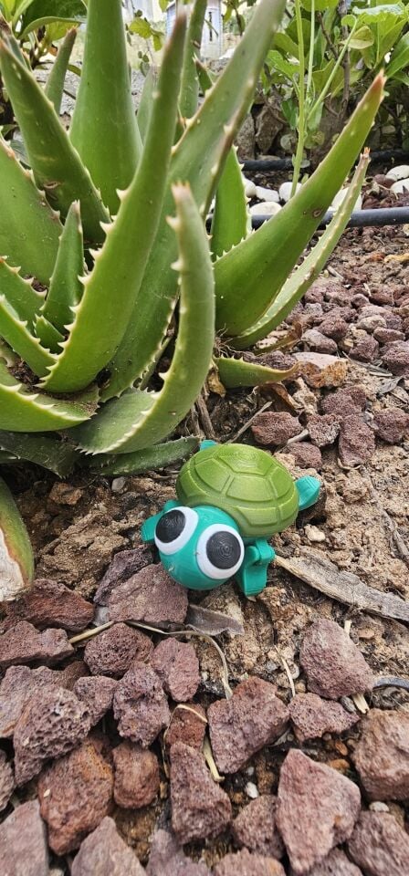 SIHIRBOX 3D FLEXİ (KAPLUMBAĞA)