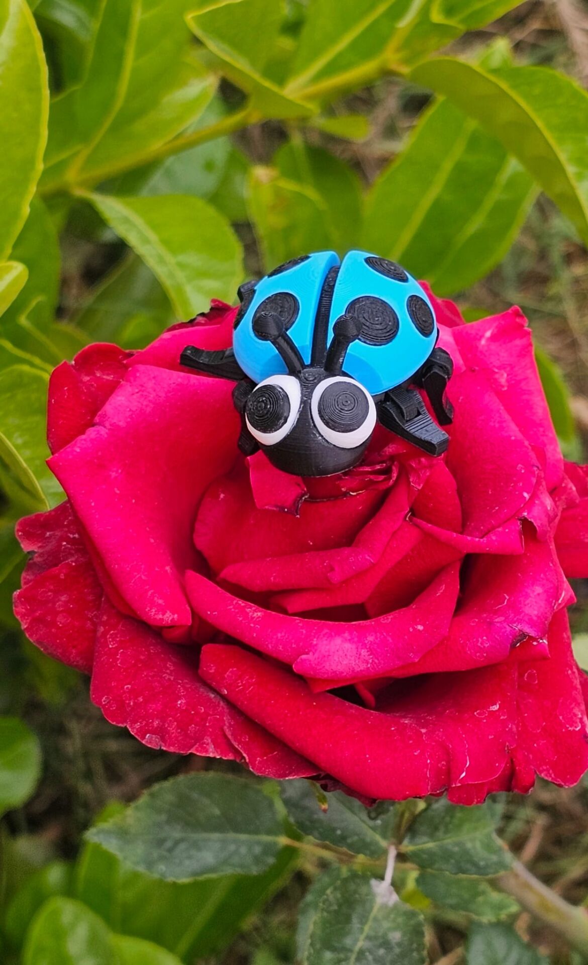 SIHIRBOX 3D FLEXİ (UĞUR BÖCEĞİ)