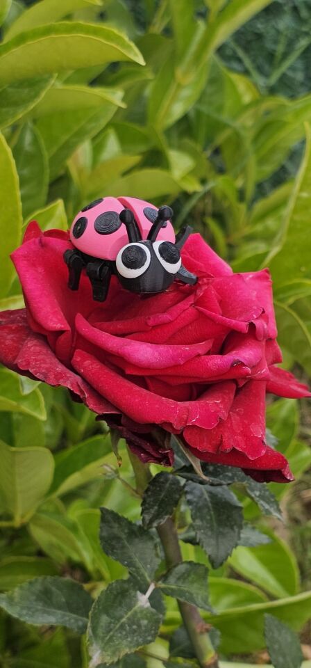 SIHIRBOX 3D FLEXİ (UĞUR BÖCEĞİ)