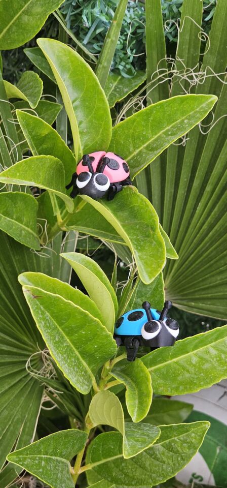 SIHIRBOX 3D FLEXİ (UĞUR BÖCEĞİ)