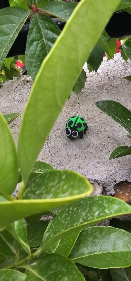 SIHIRBOX 3D FLEXİ (UĞUR BÖCEĞİ)