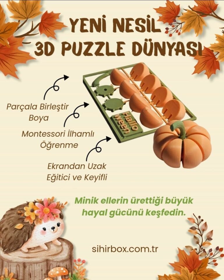 3D Puzzle ve Boyama Seti (Kabak)